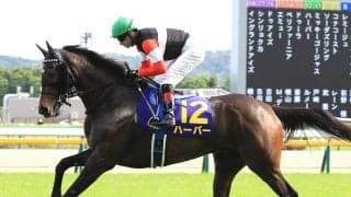 ヴィクトリアマイルは高速決着必至 侮れないのは中距離路線からの転戦組＝総合力を秘めた実力馬