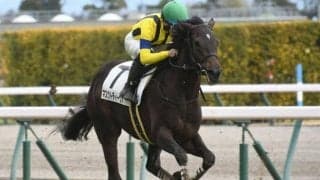 【ヴィクトリアM予想】ノーザンファーム＆社台ファーム生産馬が好成績！ 前走勝利馬には注意が必要