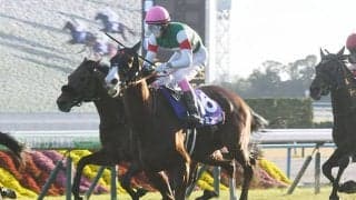 【ヴィクトリアM前日オッズ】ナミュールが2.3倍で1番人気