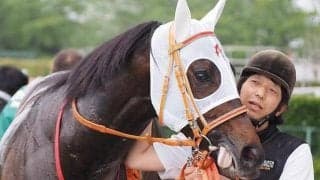 兄にNHKマイルC覇者や豪G1馬 良血馬が弥彦Sで全きょうだい4頭目のオープン入りへ