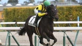 【AI予想・ヴィクトリアM】今年のマイル女王の栄冠はどの馬に！  本命馬は心強い鞍上を味方にGI初制覇を狙う