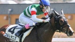 半姉は名牝ハープスター コルレオニスが2連勝なるか