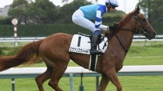 きょうだいにGI馬3頭 “大魔神”佐々木主浩オーナーの良血馬が初勝利狙う