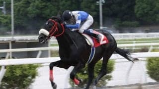 【高知・春野特別】伏兵ロイズピークがクビ差凌ぐ…佐原「ゲートだけに集中」