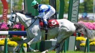 【京都ハイジャンプ】サンデイビスが障害重賞初制覇