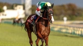 【今日の注目ポイント】春の女王決定戦・ヴィクトリアマイル 武豊騎手がJRA通算4500勝に王手