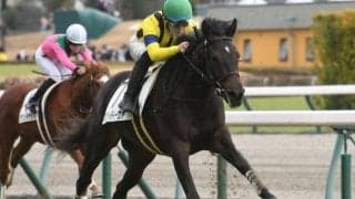 【ヴィクトリアM予想】上半期の古馬女王決定戦 女王の座をつかむには総合力が必須