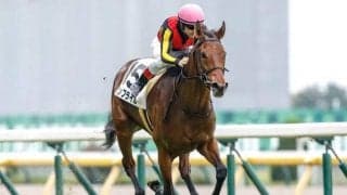 【ヴィクトリアM予想】好調人気順と好調枠がクッキリ 過去データで探るGIヴィクトリアマイル