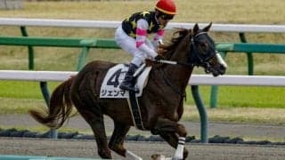 産駒はたった2頭のみ キングリオ産駒がJRA初勝利/新潟3R