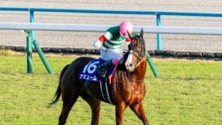 【ヴィクトリアM・馬体重】ナミュールは452kg、マスクトディーヴァは454kg(-2)