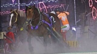 【ばんえい十勝】金山明彦調教師が地方通算1000勝を達成