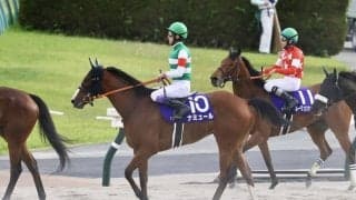 【ヴィクトリアM】ナミュール武豊「切れる脚が出せず…」レース後ジョッキーコメント