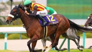 【オークス登録馬】ステレンボッシュなど18頭