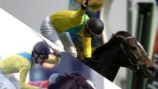 馬名にG1レース公式ドリンクも 「カクテルの日」に競馬界とのつながり調べてみた