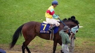 樫で輝いた「裸足のシンデレラ」 桜の雪辱を果たした乾坤一擲の逃走劇