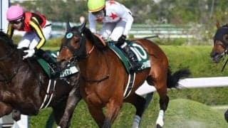 【平安S見どころ】6歳馬でもまだ進化中、ミッキーヌチバナの連勝を期待