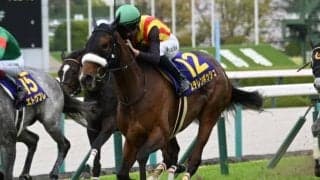 【オークス見どころ】堅実無比のステレンボッシュが二冠に挑む