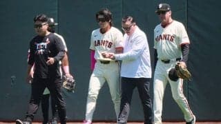 176億円韓国人スターが左肩靭帯を損傷か　フェンスに激突…立ち上がれず悶絶