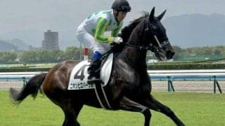 JRA史上最高の複勝配当が生まれた日から1年 枠連や3連単など券種ごとの最高配当は？