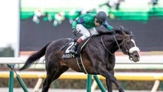 【先週のJRA抹消馬】重賞2着の実績があるハーツイストワール、オープンで2勝を挙げたアスコルターレなど
