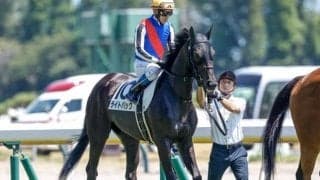 【AI予想・オークス】王道路線と大手牧場がキーワード!? 人工知能は牝馬クラシックの王道を歩む3頭に高評価