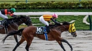 【平安S展望】帝王賞に繋がる一戦、距離短縮組が狙い