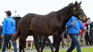 ノースヒルズで開場40周年記念式典 約500人が参加して発展祝う