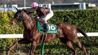 北米トップサイアー「スパイツタウン」 日本の快速馬にも名を残す一頭を深堀り