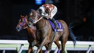 【大井記念枠順】連覇を狙うセイカメテオポリスは7枠7番