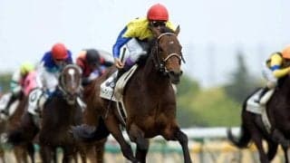 【日本ダービーの偉大な記録】ディープインパクト産駒が7勝で最多 2勝以上を挙げている種牡馬は何頭？