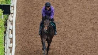 ベルダムの2022(サトノブリジャール)など、先週の入厩情報/栗東トレセンニュース