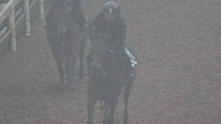 シュガーショックの2022(トロピカルレイン)など、先週のゲート試験/栗東トレセンニュース