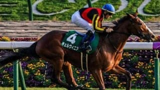 前走13着から戦後“史上最大”巻き返しVへ ルメール騎手とオークス2着馬の仔