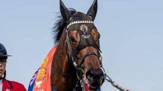 【日本ダービーの偉大な記録】“大尾形”の8勝は不滅!? 友道師が皐月賞馬で狙うのは