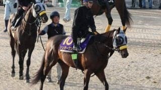 シュガークン、日本ダービー1週前追い切り速報/栗東トレセンニュース