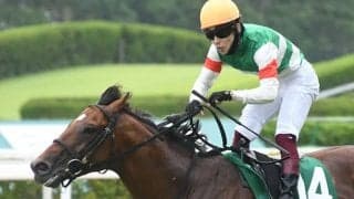 22年の中京記念覇者ベレヌス抹消 今後は石川の珠洲ホースパークで乗馬に