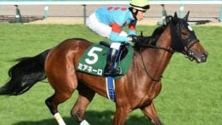 ドゥラメンテ産駒前人未到のV3へ 先週悲願のGI制覇した鞍上がオークスでも魅せる