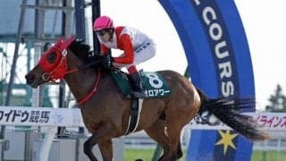 ステッペンウルフ産駒が初勝利 鞍上「追って味があるタイプ」