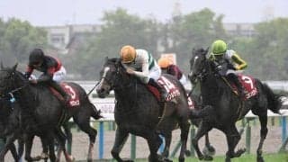 【安田記念想定】ソウルラッシュ、ロマンチックウォリアーなど16頭