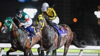 【大井・大井記念結果】サヨノネイチヤが差し切って7連勝、重賞も3連勝！