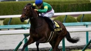 忘れな草賞組から5年ぶり樫の女王誕生へ 前回達成の鞍上を迎えオークスに挑む