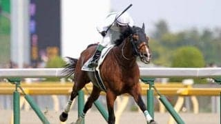 【日本ダービーの偉大な記録】これまでの最高配当記録は285万6300円 戦後直後には単勝554.3倍での勝利も