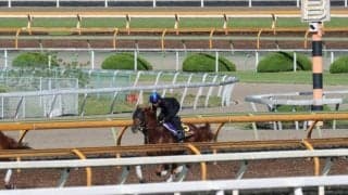 ダノンデサイル、日本ダービー1週前追い切り速報/栗東トレセンニュース