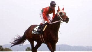 過去最高額約7500万円が寄付 ナイスネイチャ・メモリアルドネーション2024