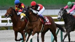 【オークス・調教後馬体重】スウィープフィートは470kg、ステレンボッシュは462kg