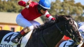 ウマ娘・藤田晋オーナーの良血馬が素質開花で連勝狙う 鞍上は武豊騎手