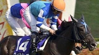 母は名牝ヴィルシーナ 佐々木主浩オーナーのヴェストリアが待望のデビュー