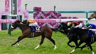 【オークス】出走馬調教後の馬体重