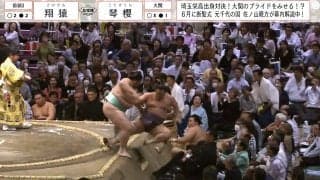 勝った力士の優しさが原因か？ 敗れた力士の巨体が“超”スローで転落する珍現象 「何いまの倒れ方」違和感に驚きの声