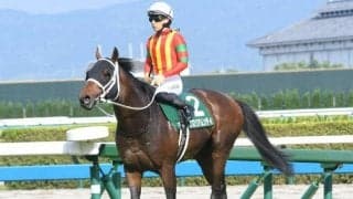 【平安S枠順確定】グロリアムンディは5枠10番、ハギノアレグリアスは3枠5番